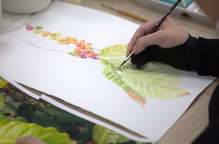 Zajęcia z ilustracji botanicznej, farby, rośliny